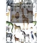 Lesekurs – dyrene i Afrika 3.-4.trinn, GNO og SNO. BM