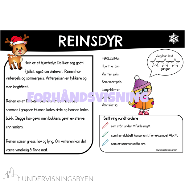 LESEGØY jul - Bilde 2