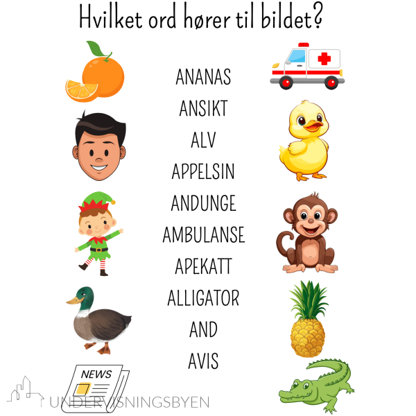 Hefte om alfabetet og begreper / 60 sider / ca. 250 ord med bilder! - Bilde 6