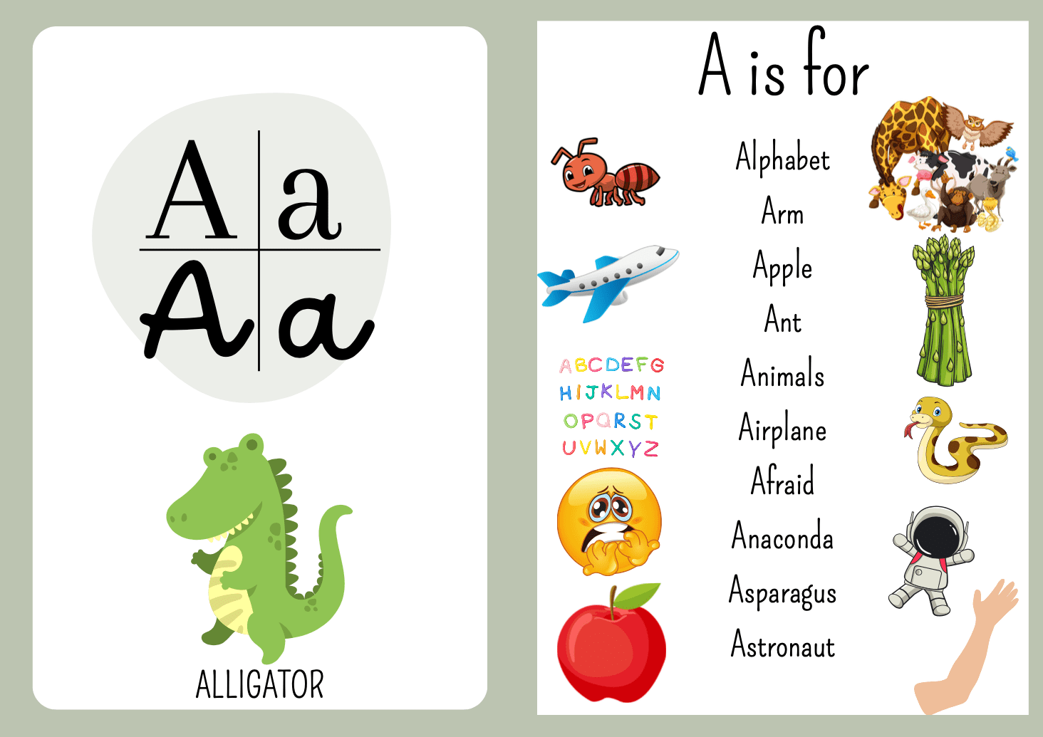 Engelsk hefte med hele alfabetet og ca. 250 ord med tilhørende bilder / 56 sider