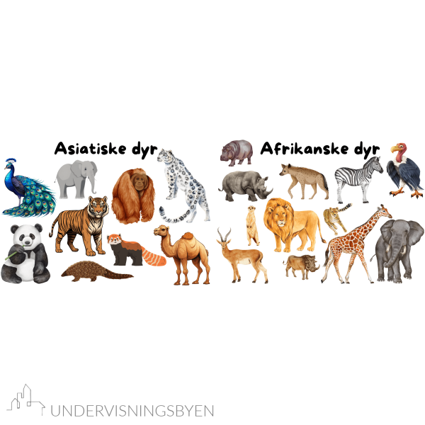 8 plakater i A3 til klasserommet / dyreliv / kjæledyr / gårdsdyr / afrikanske dyr / asiatiske dyr / europeiske dyr osv. - Bilde 5