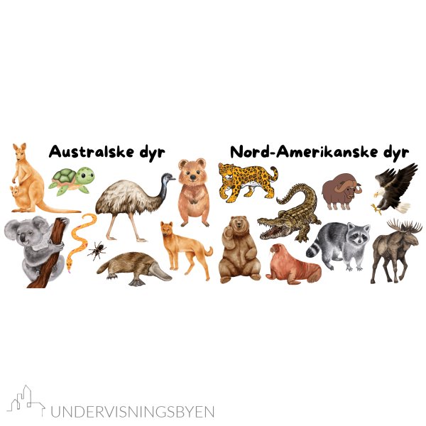 8 plakater i A3 til klasserommet / dyreliv / kjæledyr / gårdsdyr / afrikanske dyr / asiatiske dyr / europeiske dyr osv. - Bilde 4
