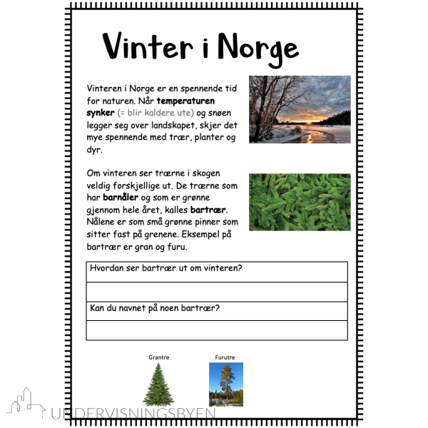 Vinter i Norge