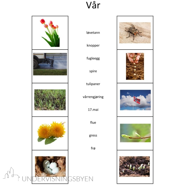 Kategorisering 1 - 400 ord å lese og forstå, 40 kategorier å sortere - arbeidsark - begrepstrening - ordforråd - kategorisering - Bilde 2