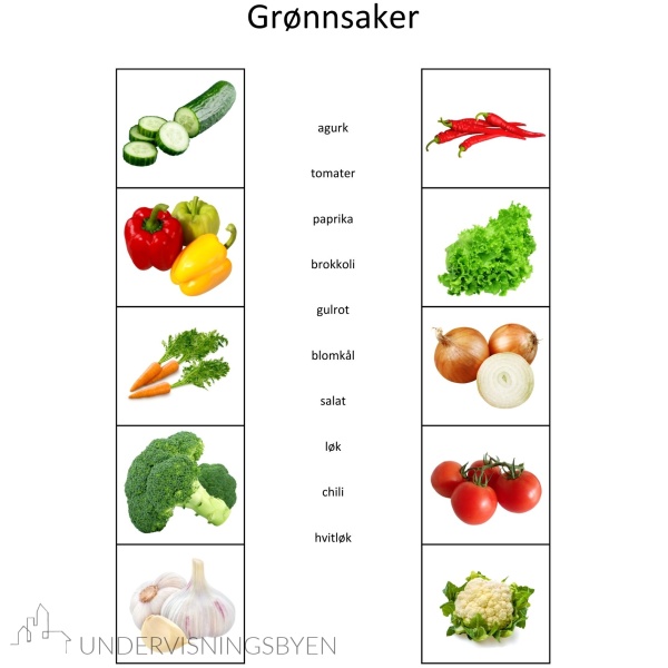 Kategorisering 1 - 400 ord å lese og forstå, 40 kategorier å sortere - arbeidsark - begrepstrening - ordforråd - kategorisering - Bilde 4