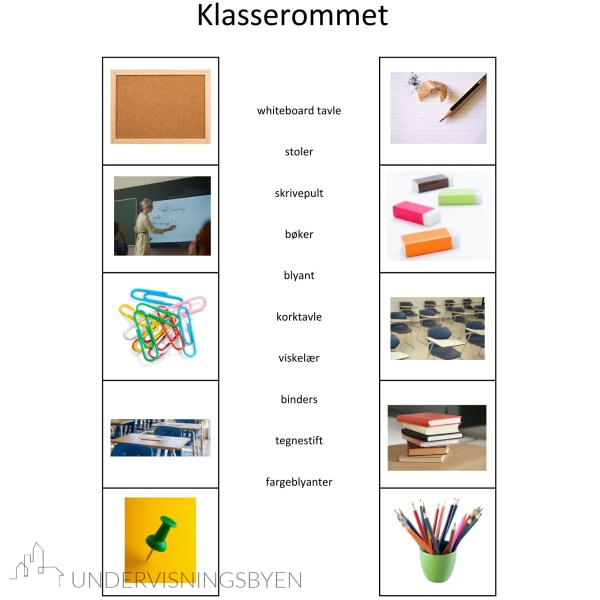 Kategorisering 1 - 400 ord å lese og forstå, 40 kategorier å sortere - arbeidsark - begrepstrening - ordforråd - kategorisering - Bilde 9