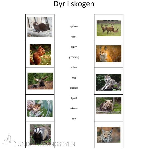 Kategorisering 1 - 400 ord å lese og forstå, 40 kategorier å sortere - arbeidsark - begrepstrening - ordforråd - kategorisering - Bilde 11