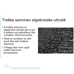 Presentasjon algebraiske uttrykk (addisjon og subtraksjon)