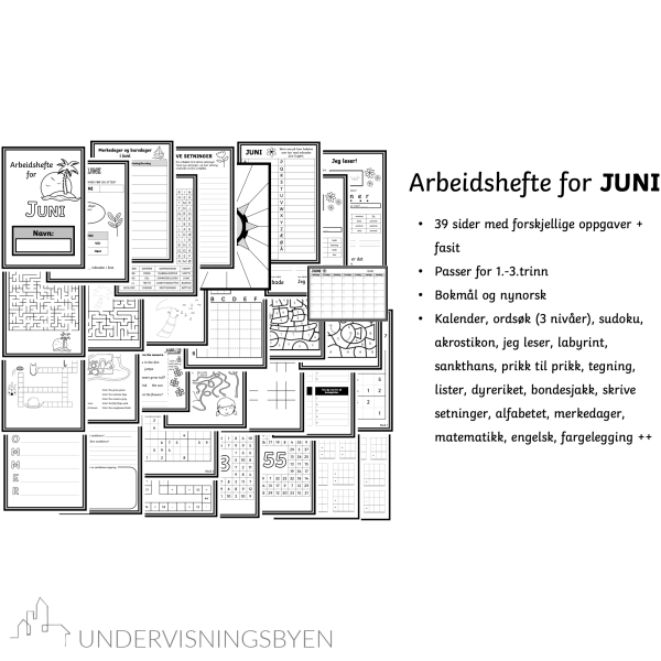 Arbeidshefte juni 1,-3.trinn - Bilde 2
