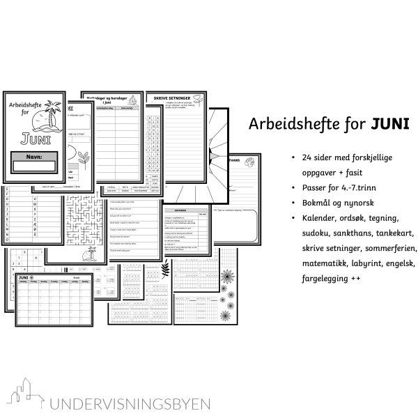 Arbeidshefte juni 4.-7.trinn - Bilde 2