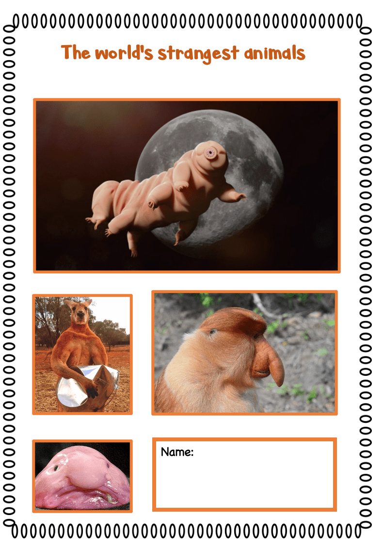 The world’s strangest animals