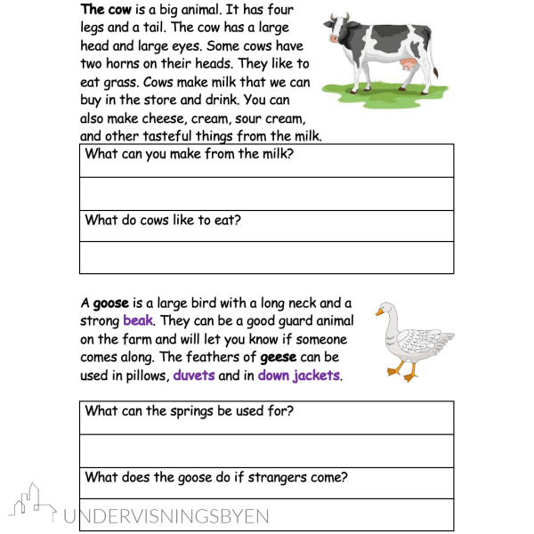 Farm animals booklet - Bilde 2