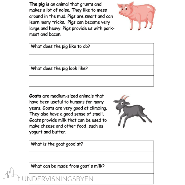 Farm animals booklet - Bilde 4