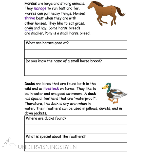 Farm animals booklet - Bilde 5