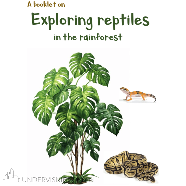 A booklet on: Exploring reptiles in the rainforest