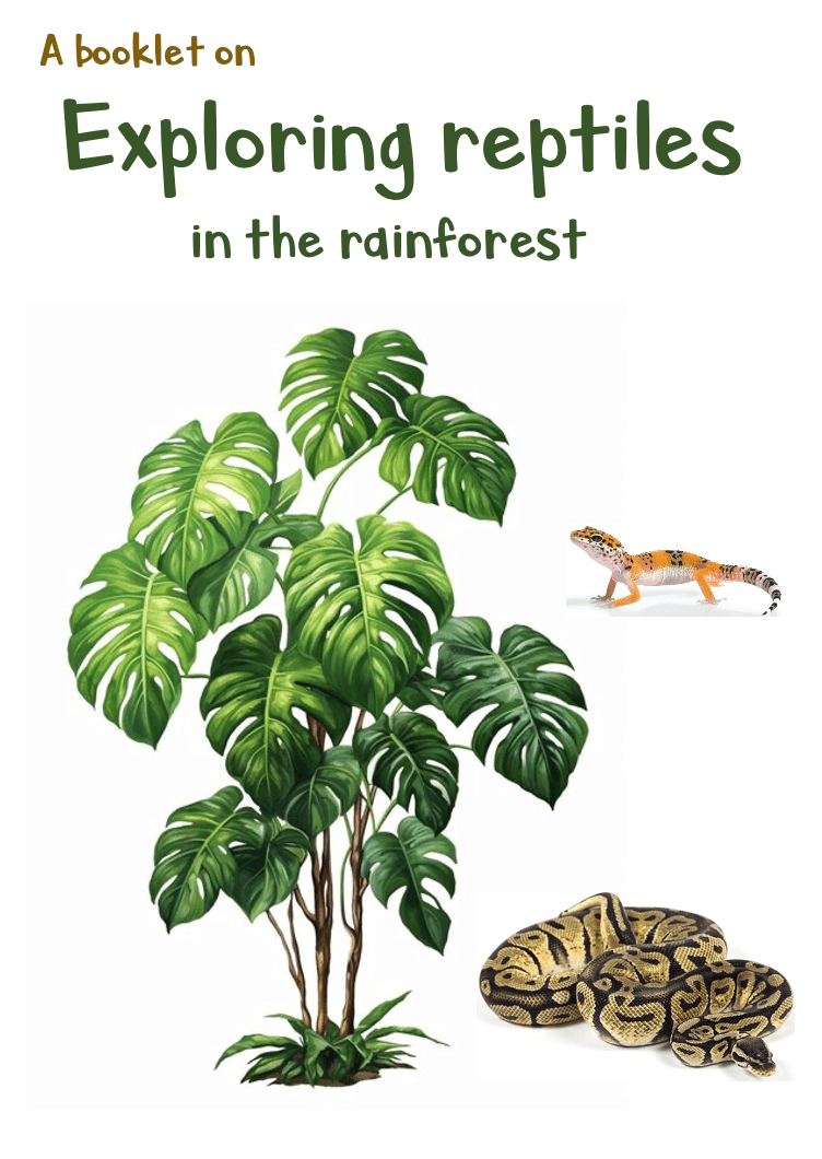 A booklet on: Exploring reptiles in the rainforest