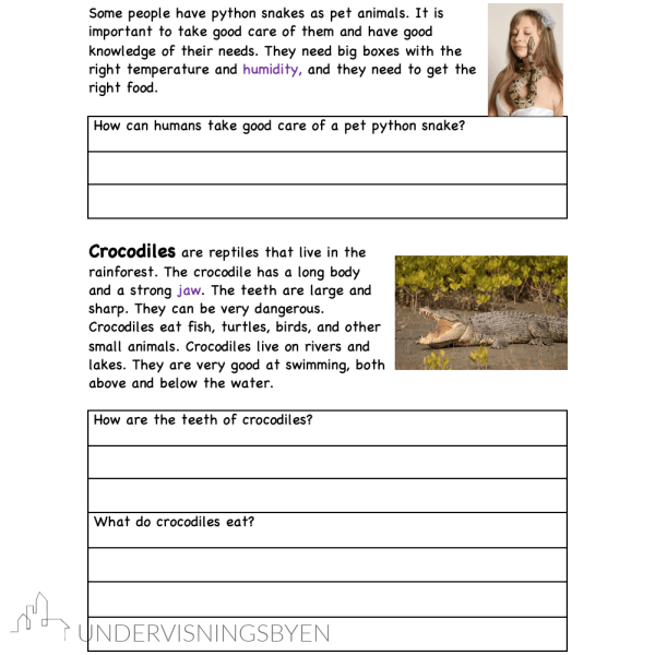 A booklet on: Exploring reptiles in the rainforest - Bilde 3