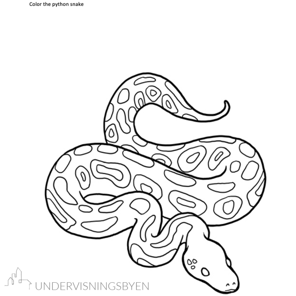 A booklet on: Exploring reptiles in the rainforest - Bilde 9
