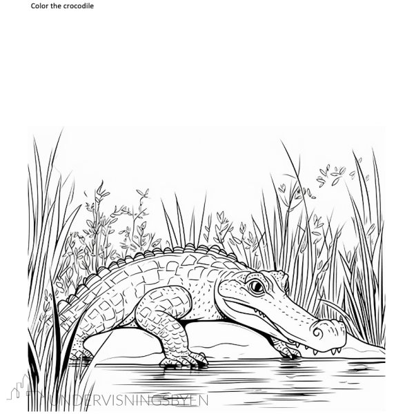 A booklet on: Exploring reptiles in the rainforest - Bilde 10