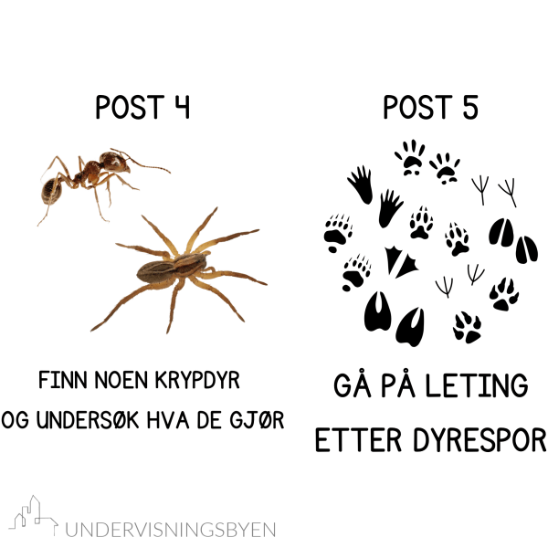10 poster til uteskole / turdag / barneskole - Bilde 4