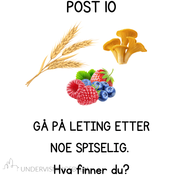 10 poster til uteskole / turdag / barneskole - Bilde 7