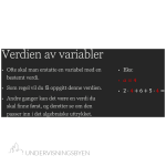 Presentasjon av begrepet “variabel”