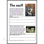 A booklet on: Wild animals