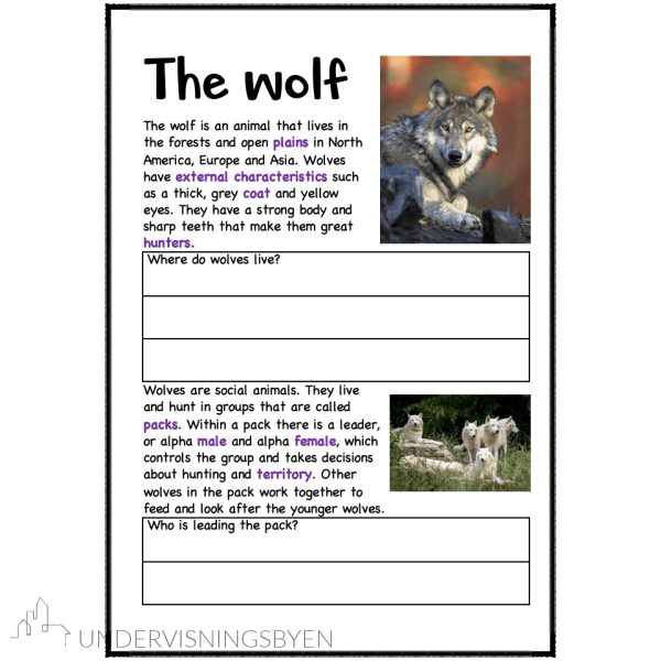 A booklet on: Wild animals
