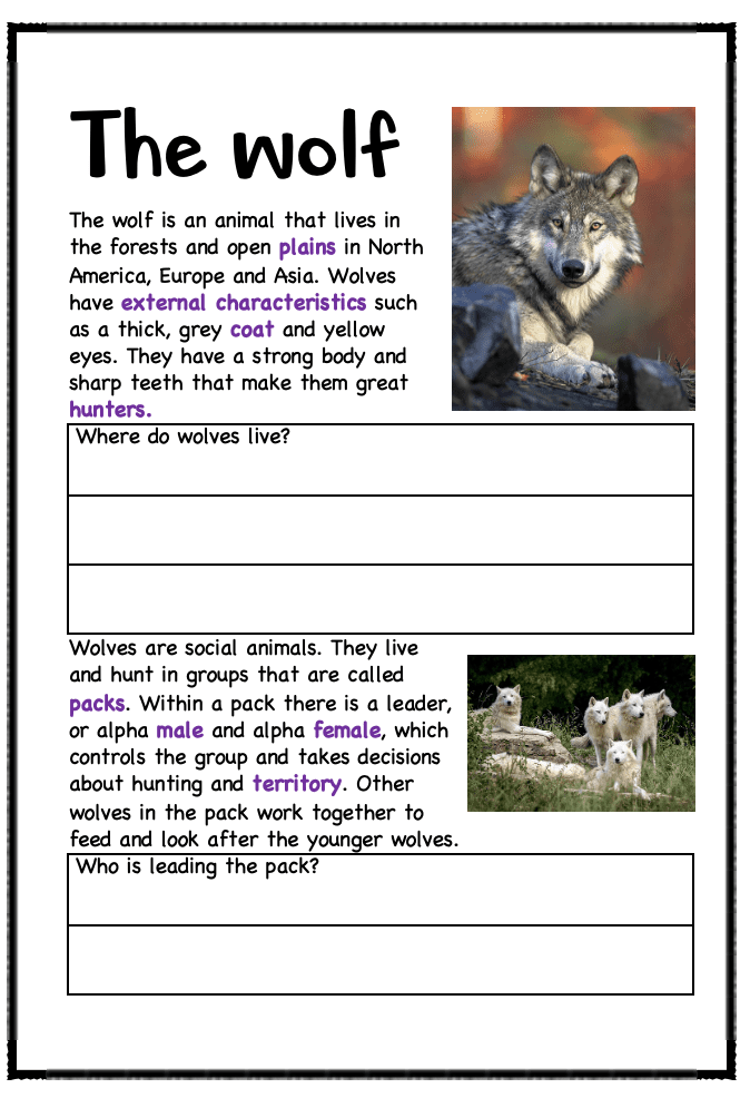 A booklet on: Wild animals
