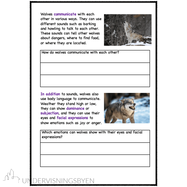 A booklet on: Wild animals - Bilde 2