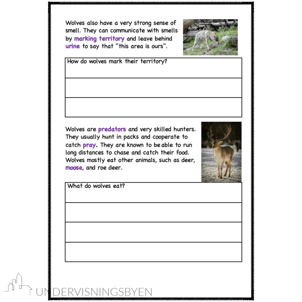 A booklet on: Wild animals - Bilde 3