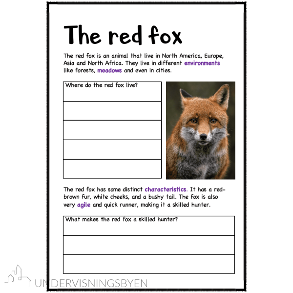 A booklet on: Wild animals - Bilde 6