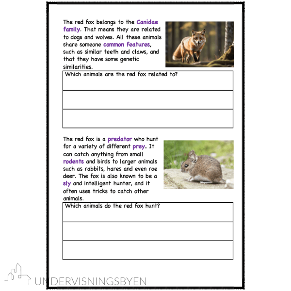 A booklet on: Wild animals - Bilde 7