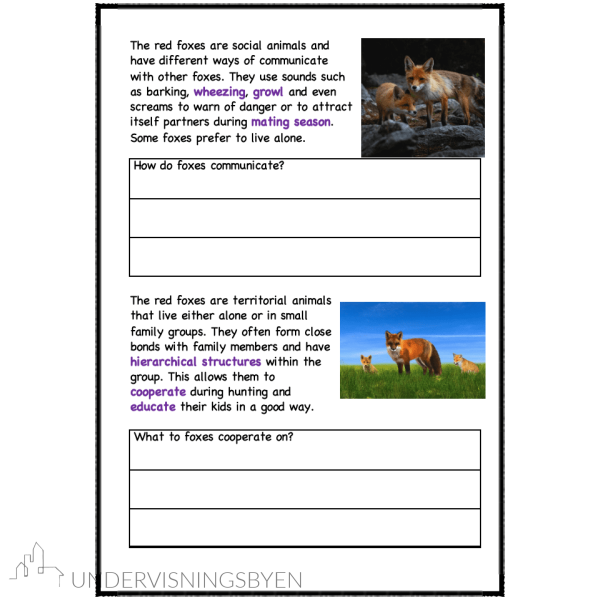 A booklet on: Wild animals - Bilde 8