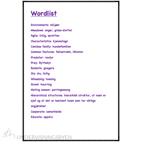 A booklet on: Wild animals - Bilde 9
