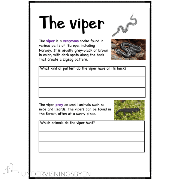 A booklet on: Wild animals - Bilde 11