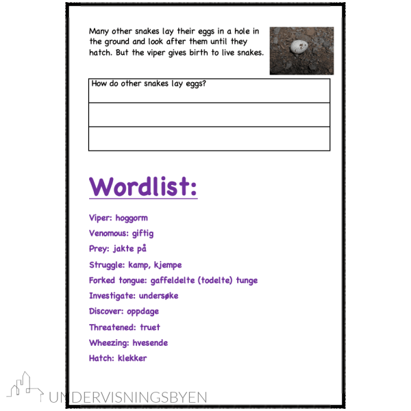 A booklet on: Wild animals - Bilde 14