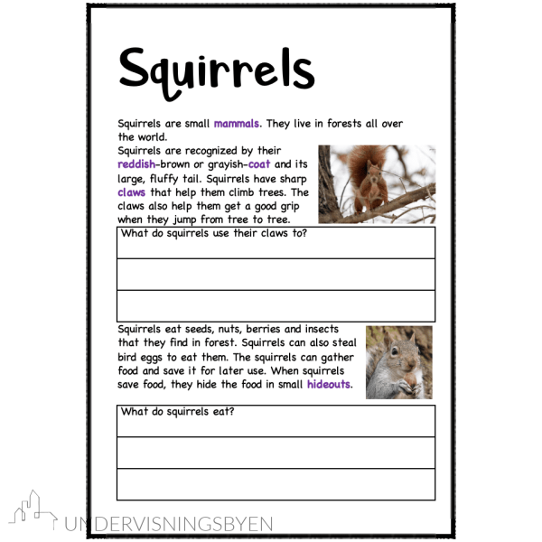 A booklet on: Wild animals - Bilde 16