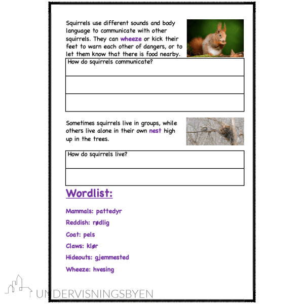 A booklet on: Wild animals - Bilde 17