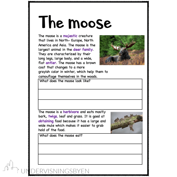 A booklet on: Wild animals - Bilde 19