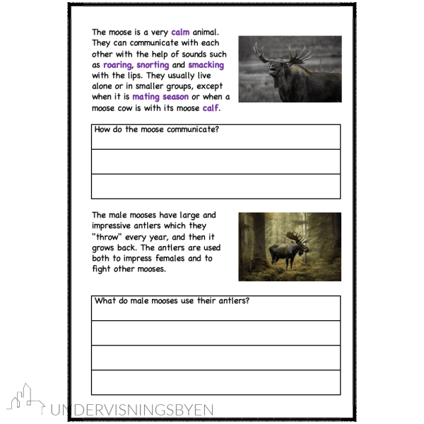 A booklet on: Wild animals - Bilde 20