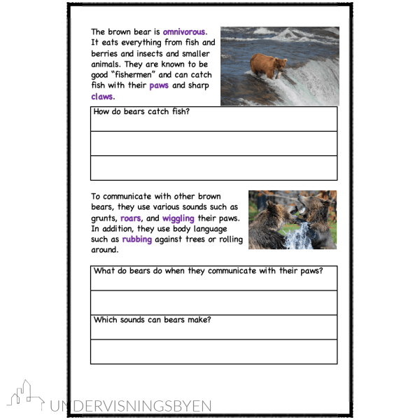 A booklet on: Wild animals - Bilde 24