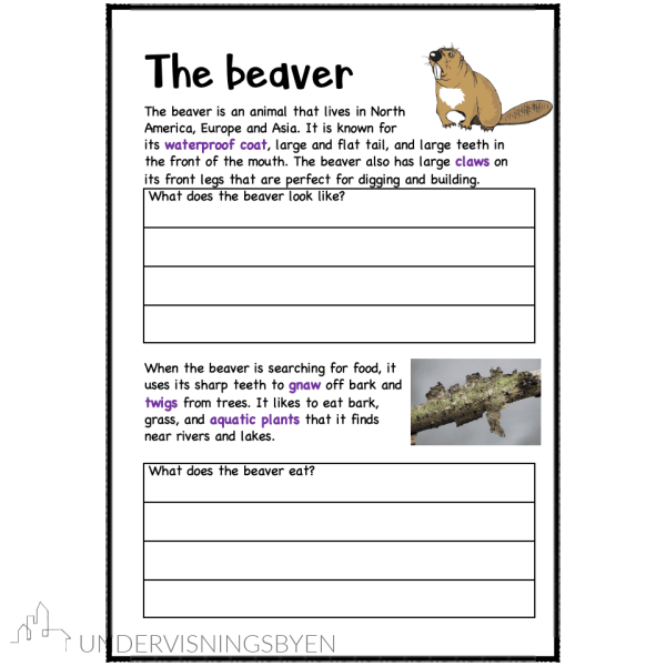A booklet on: Wild animals - Bilde 27