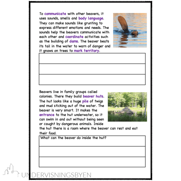 A booklet on: Wild animals - Bilde 28