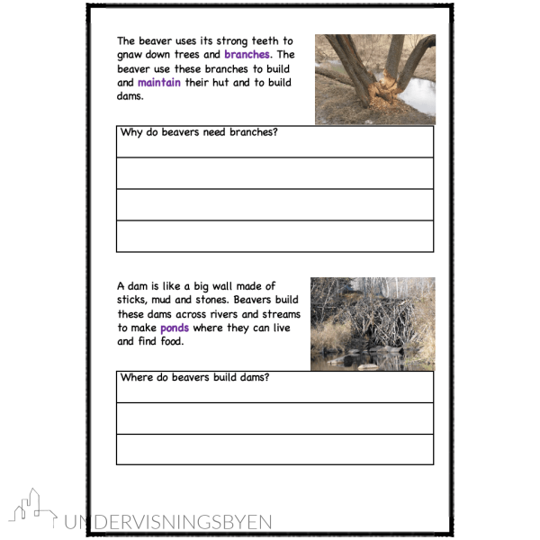 A booklet on: Wild animals - Bilde 29