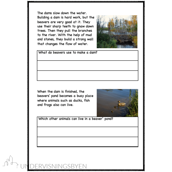 A booklet on: Wild animals - Bilde 30