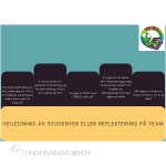 Veiledning av studenter eller refleksjon på team