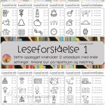 Leseforståelse 1