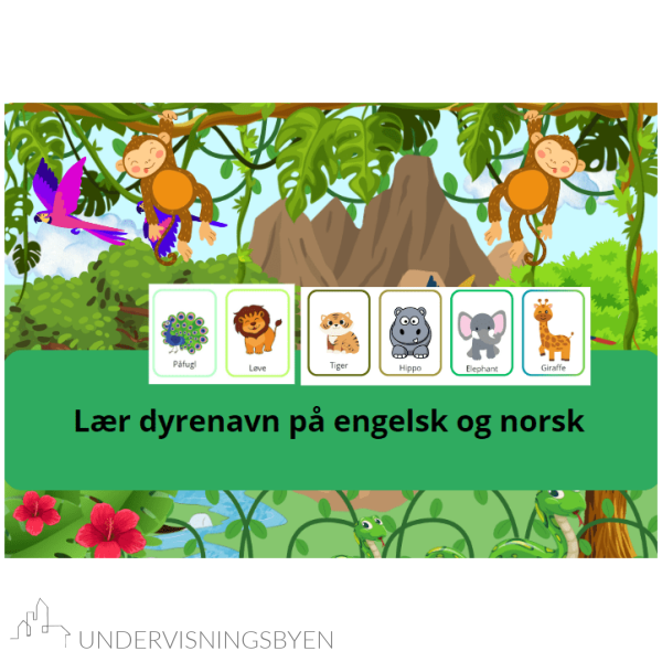 Dyrelotto/memory/flash cards