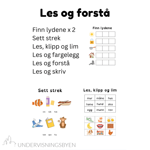 Les og forstå